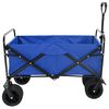 vidaXL Klapp-Handwagen Blau 89 x 63 x 96 cm Stahl und Oxford-Stoff