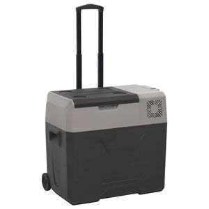 vidaXL K&uuml;hlbox mit Rollen und Griff Schwarz & Grau 40 L Polypropylen
