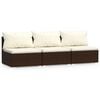 Brown_and_cream