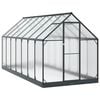 vidaXL Garten Gew&auml;chshaus mit T&uuml;r Anthrazit 183,5 x 423,5 x 207 cm