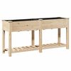 vidaXL Garten-Pflanzgef&auml;&szlig; mit Regal Beige 161 x 43 x 76,5 cm