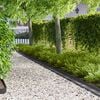 Produkt-Miniaturbild 2 von 8