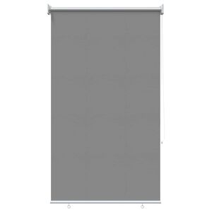 vidaXL Au&szlig;en-Rollos mit UV-Schutz Hellgrau 85 x 230 cm (B x H)