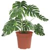 Produkt-Miniaturbild 3 von 9