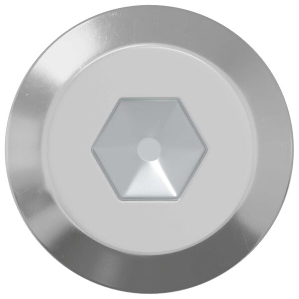 vidaXL Schraube 2 pcs Silber M6 x 100 mm Stahl