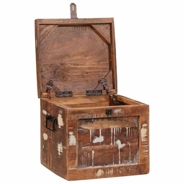 vidaXL Aufbewahrungsbox mit Speicher Braun Massivholz Mango