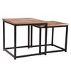 LABEL51 2-tlg. Couchtisch-Set Twain Holz/Schwarz