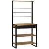vidaXL K&uuml;chenregal Braun und Schwarz 80 x 40 x 160 cm Massivholz Mango