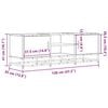 vidaXL TV-Schrank Eichen-Optik 120x35x41 cm Holzwerkstoff und Metall