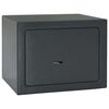 vidaXL Safe Box mit Schloss Dunkelgrau 23 x 17 x 17 cm Stahl