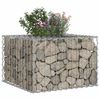 vidaXL Gabionen Hochbeet Silber 60 x 60 x 40 cm Verzinkter Stahl