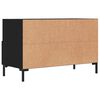 vidaXL TV-Schrank Schwarz 80x36x50 cm Holzwerkstoff