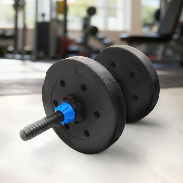 vidaXL Gewichtsscheiben 4 pcs Schwarz &Oslash; 21.5 x 3.8 cm