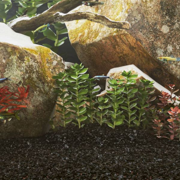 Produktbild 2 von 5 anzeigen