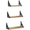 vidaXL Wandregal 3 stk. Raucharbe 37 x 12 x 13 cm
