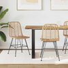vidaXL Esszimmerstuhl 2 pcs Natur 44 x 47 x 85 cm Rattan und Eisen