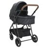 vidaXL 2-in-1 Kinderwagen Anthrazit und Schwarz Stahl