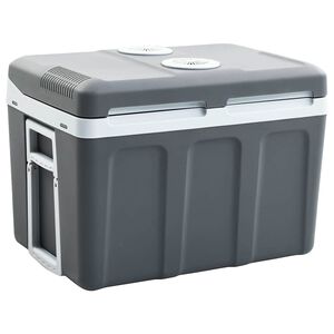 vidaXL Thermoelektrische K&uuml;hlbox Mobil 40 L 12V 230V E