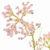 Produkt-Miniaturbild 2 von 2