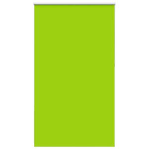 vidaXL Verdunkelungsrollo Gr&uuml;n 120x230cm Stoffbreite 116,6cm Polyester