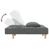 vidaXL Schlafsofa 2-Sitzer mit 2 Kissen & Hocker Dunkelgrau Stoff