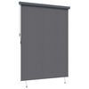 vidaXL Outdoor Rollo Gestreift Anthrazit 200 x 250 cm Stoff