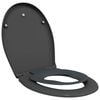 vidaXL Toilettensitz Anthrazit 47 x 37 x 4 cm Duroplast