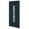vidaXL Haust&uuml;r Anthrazit 98x208 cm PVC
