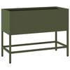Olive_green