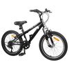 vidaXL Kids Mountain Bike 20 Zoll 6-Speed f&uuml;r 5-8 Jahre alt Schwarz