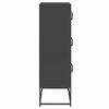 vidaXL Highboard Schwarz 68x39x123 cm Stahl