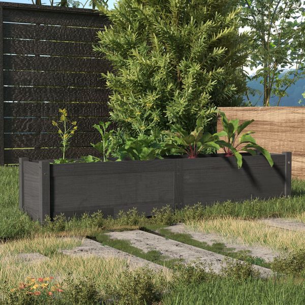 vidaXL Garten-Hochbeet Grau 150x31x31 cm Massivholz Kiefer