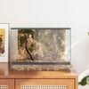 vidaXL Terrarium mit Speicher Transparent 40 x 30 x 30 cm Glas