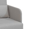 vidaXL Schlafsofa 60cm Wolkengrau Stoff