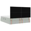vidaXL Bett mit Stauraum und LED mit LED Hellgrau 180 x 200 cm Samt