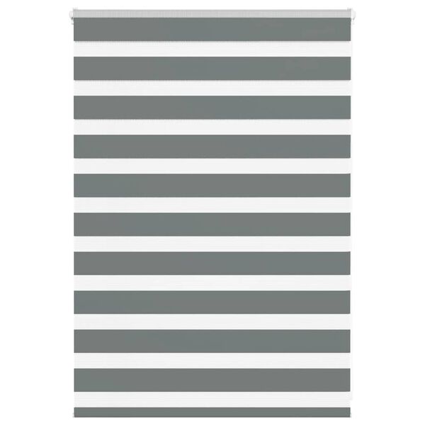 vidaXL Doppelrollo Dunkelgrau 95x100 cm Stoffbreite 90,9 cm Polyester