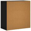 vidaXL Sideboards 2 Stk. Schwarz 79x38x80 cm Holzwerkstoff