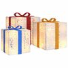 vidaXL Beleuchtete Geschenkboxen 3 Stk. 64 LEDs Warmwei&szlig;