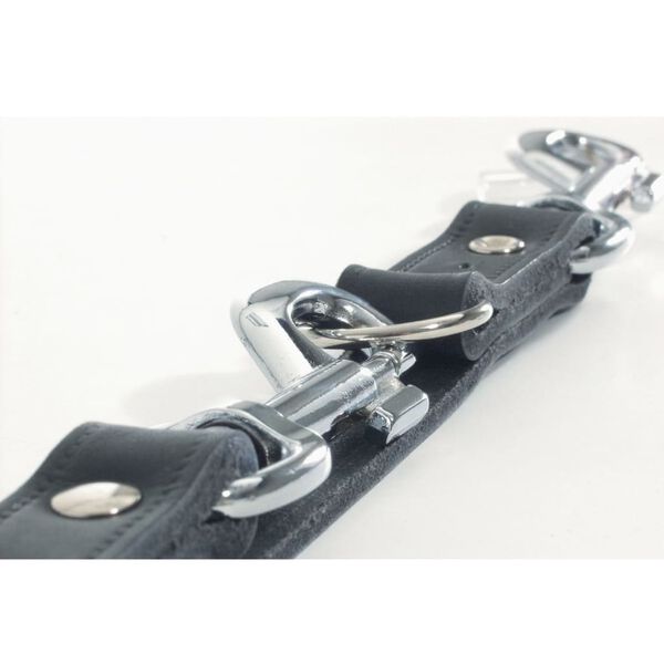 Beeztees Trainingsleine Leder Schwarz 200x1,8 cm 736392