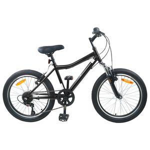 vidaXL Kinderfahrrad 20 Zoll 6-Geschwindigkeit f&uuml;r 6-11 Jahre alt