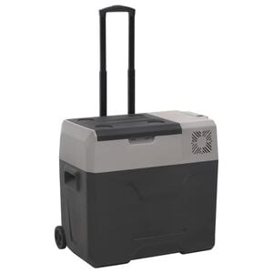 vidaXL K&uuml;hlbox mit Rollen und Griff Schwarz & Grau 50 L Polypropylen