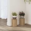 Oak