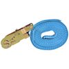 vidaXL Ratschen-Spanngurte 10 Stk. 2 Tonnen 6m×38mm Blau