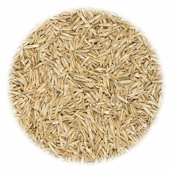 vidaXL Rasensamen für Sport- und Spielplatz 30 kg