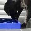 EAT SLOW LE LONGER Anti-Schling-Napf f&uuml;r Hunde Star Blau S
