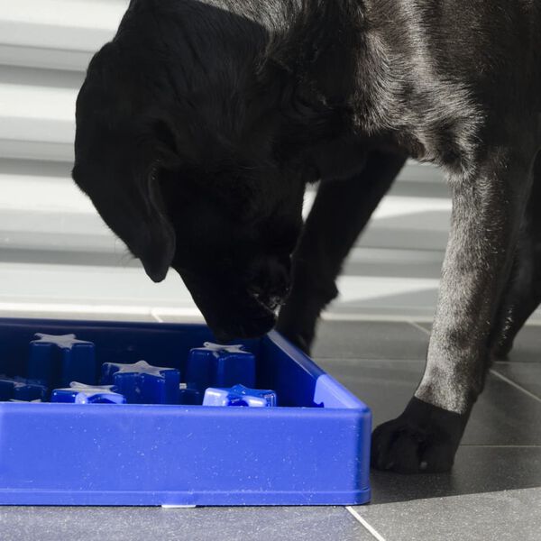 EAT SLOW LE LONGER Anti-Schling-Napf f&uuml;r Hunde Star Blau S