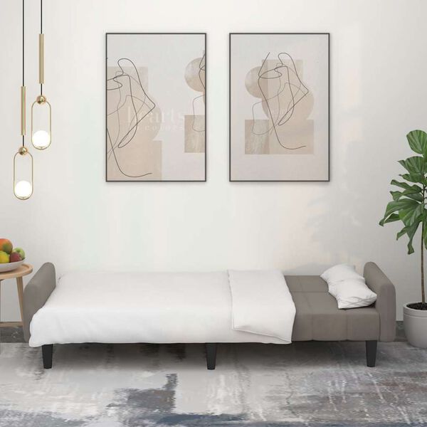 vidaXL Schlafsofa 2-Sitzer Hellgrau Samt