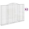 vidaXL Gabionen mit Hochbogen 2 Stk. 300x30x200/220cm Verzinktes Eisen