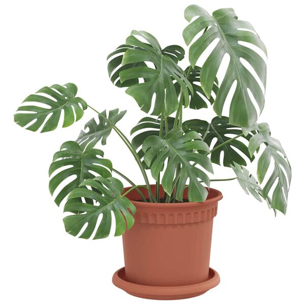 vidaXL Runde Blumenplatte 24 pcs Ziegelrot &Oslash; 14 x 2 cm Kunststoff