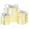 vidaXL Weihnachtsgeschenkbox 3 stk. 150 LEDs PET